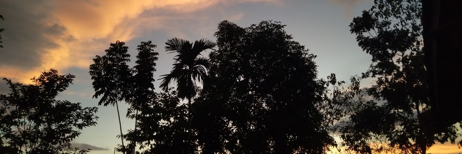 _gladysx's profile banner image