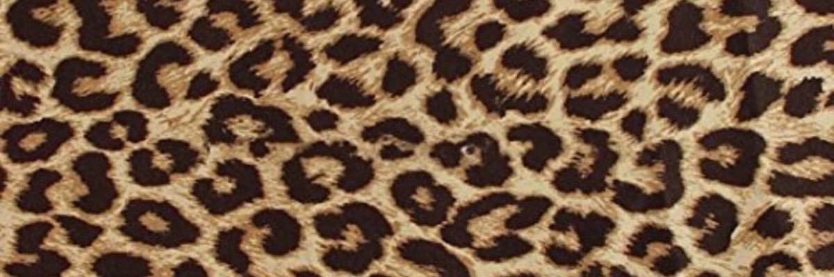 ethaneatsppl's profile banner image