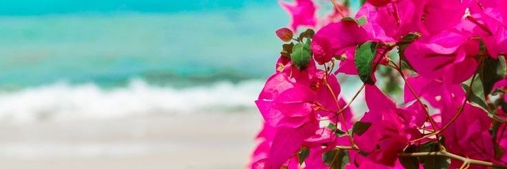 Marial21_'s profile banner image
