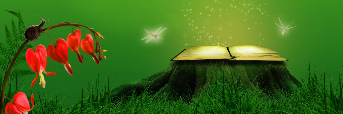 CoachBellisimo's profile banner image