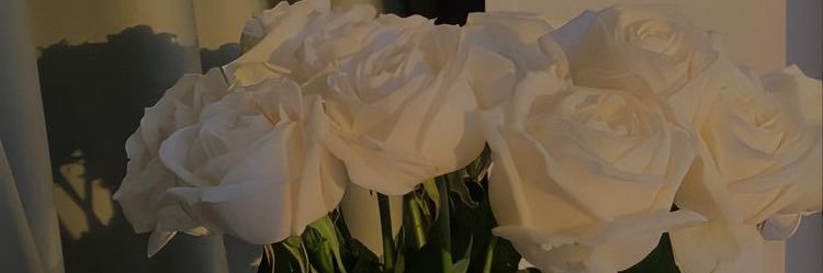 nikkii. 🫧💕's banner