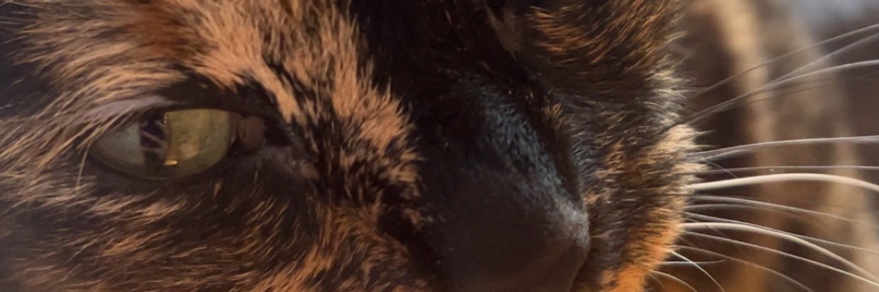 kieferbailey's profile banner image