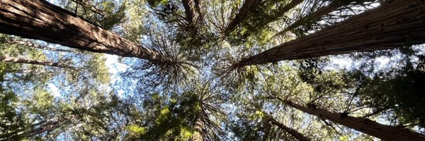 methodboa Profile Banner