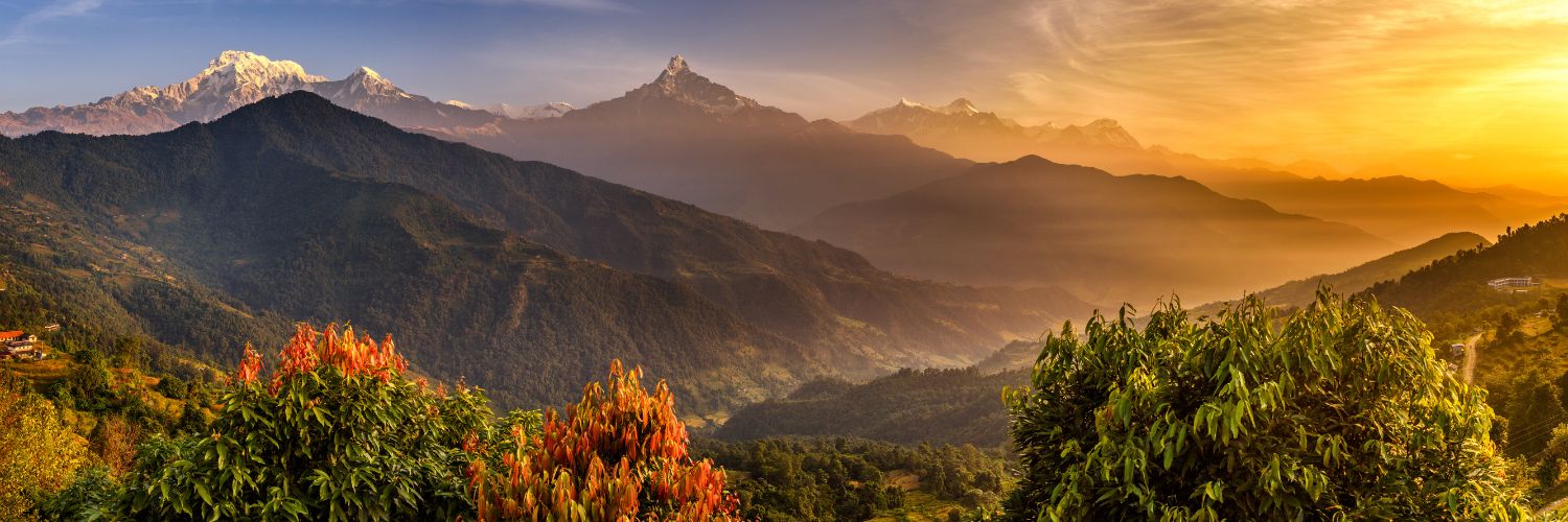 John Walker (✸,✸) banner