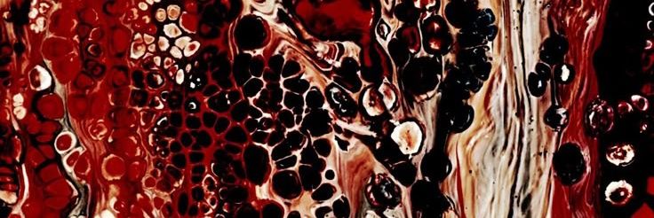 albamerisdie banner