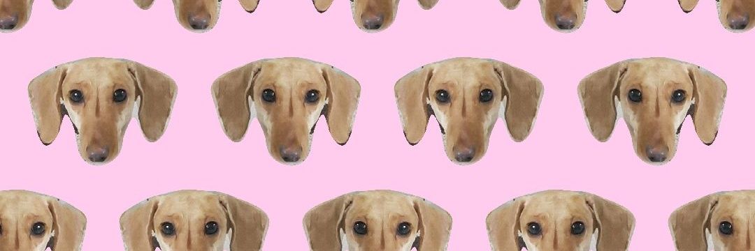 ame_amane's profile banner image