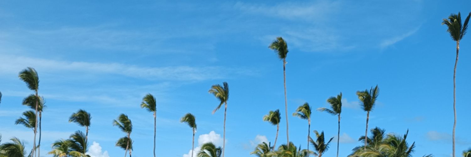 PatriaLora's profile banner image
