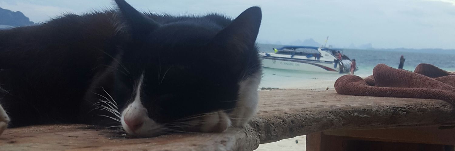 daltonnidey's profile banner image
