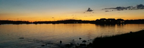 WhereRIGOyougo Profile Banner