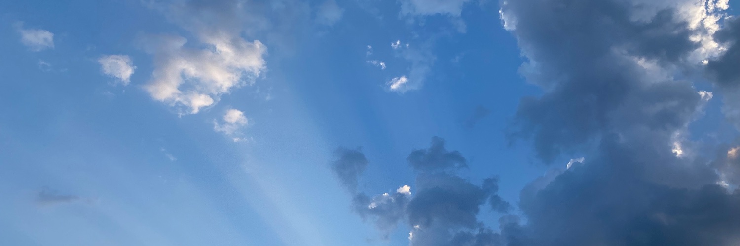 Caarrrlita's profile banner image