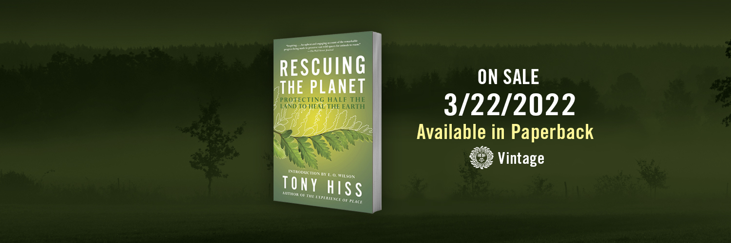 tonyhiss's profile banner image