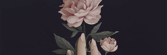 Giulia_Toffana's profile banner image