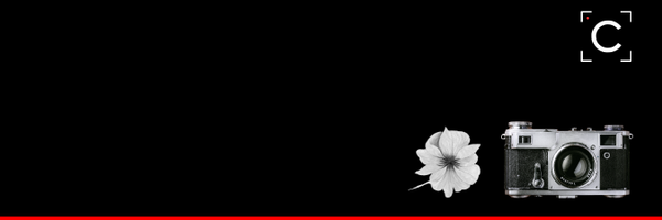 chronycles_ Profile Banner