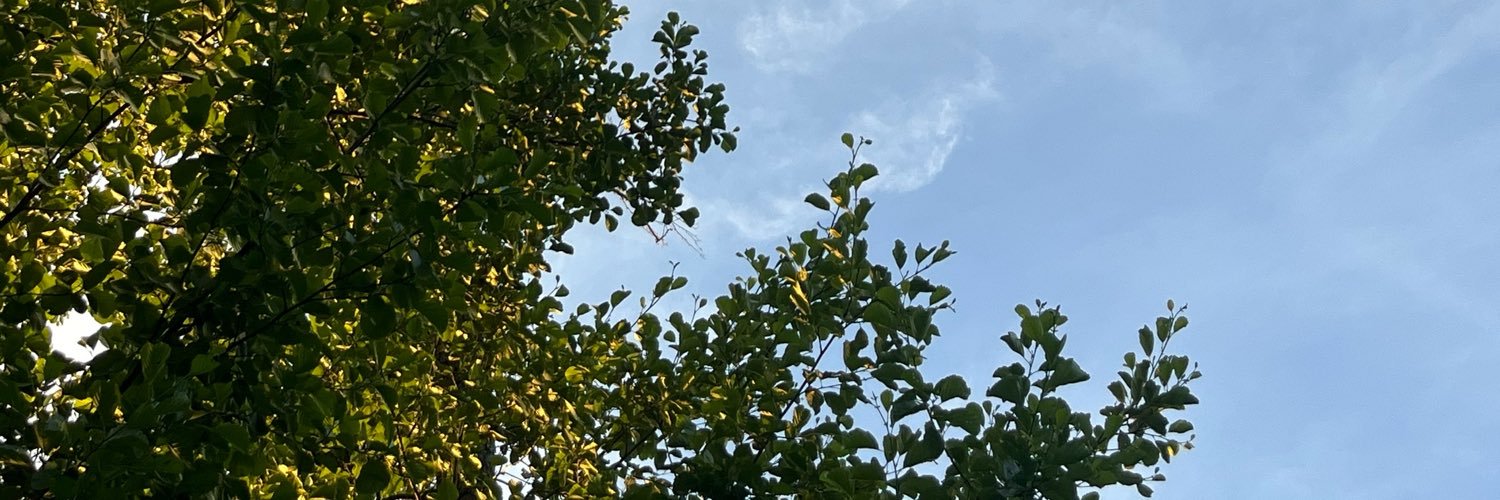 thestradek's profile banner image