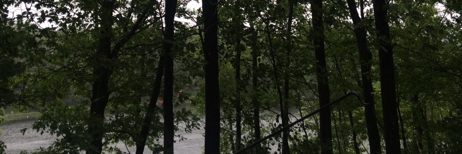 jrmsu's profile banner image