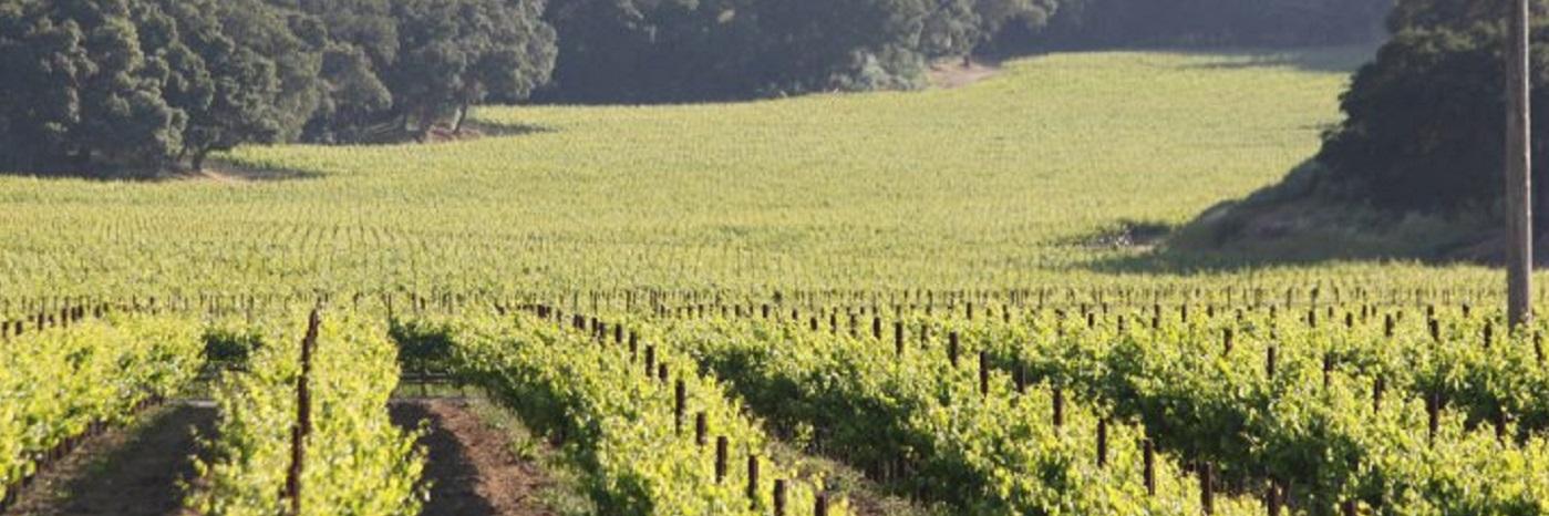 TheHiddenCISO - Retired at long last banner