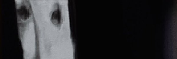 AnusoCyn Profile Banner