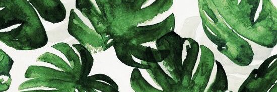 dannielmtzc's profile banner image