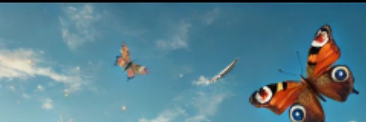 nidgecrypto's profile banner image