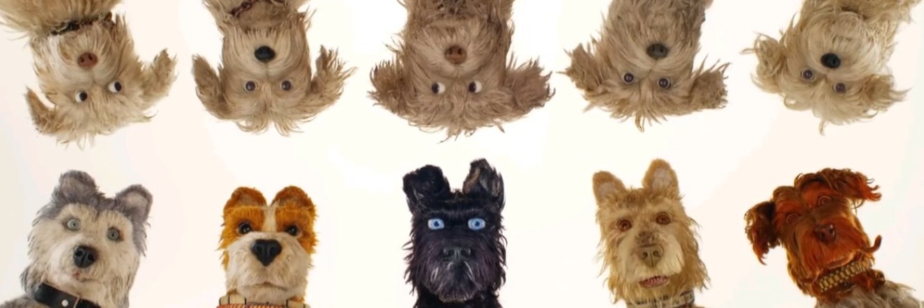 Walkingmeow's profile banner image