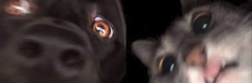 Cucumber 💚 banner