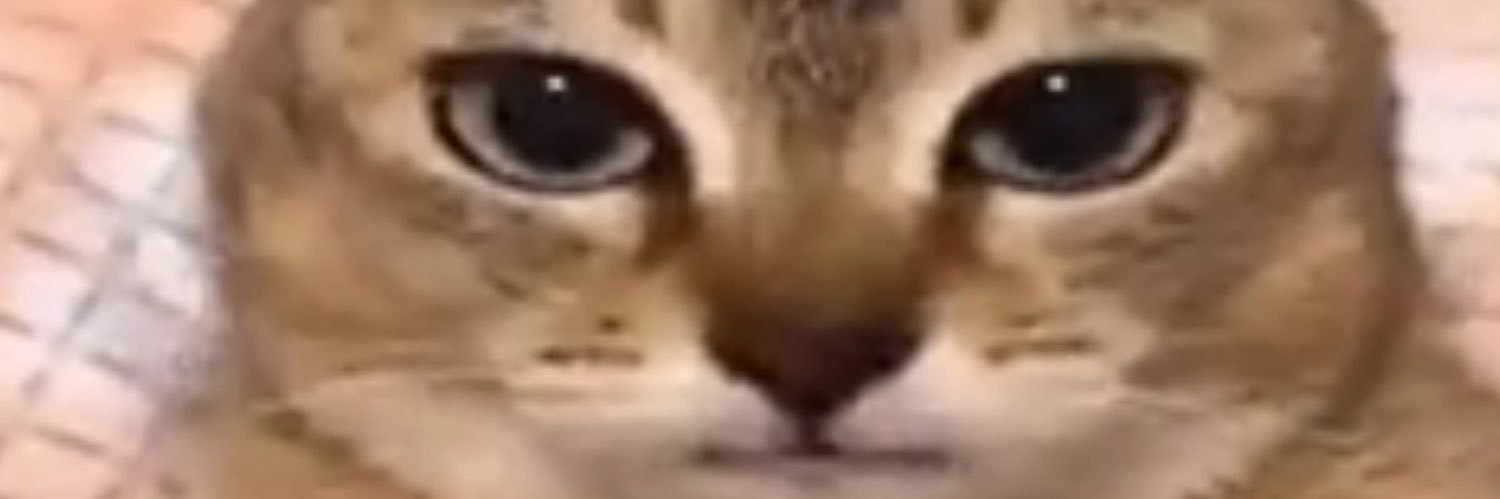 sweetener lesbian compilation banner