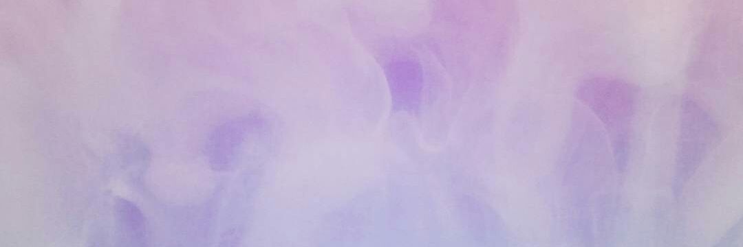 Ailurus Noir 🦌 banner