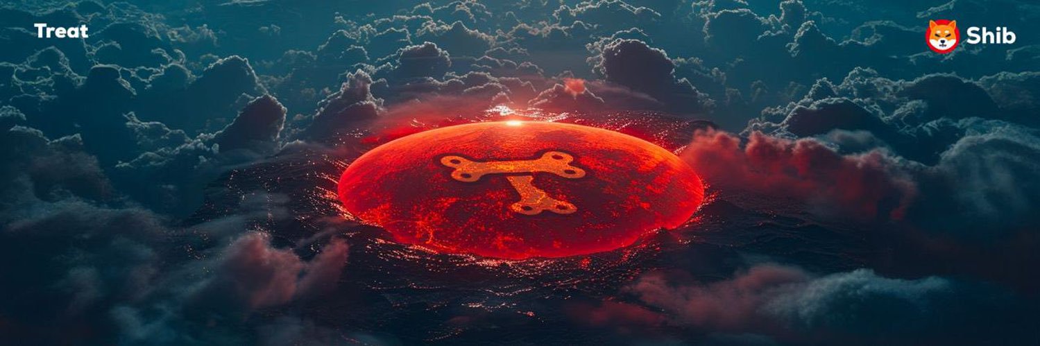 usdtbro banner