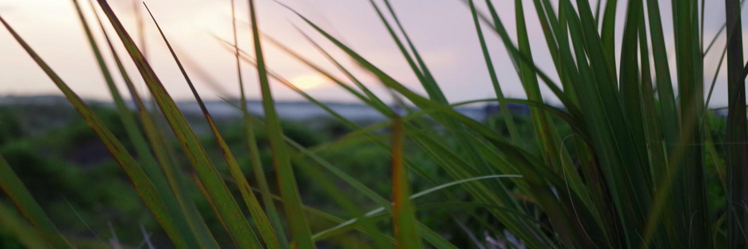 wsmciv's profile banner image