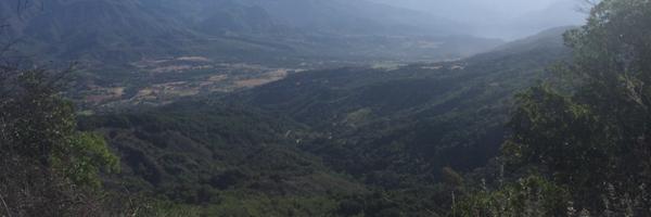 Mototwitt Profile Banner