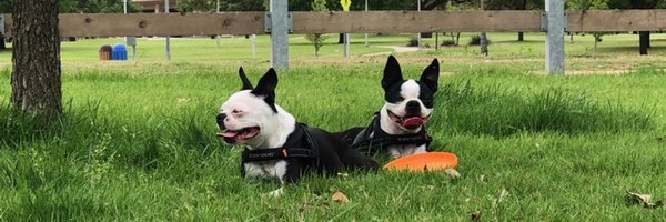 reevesjlr Profile Banner