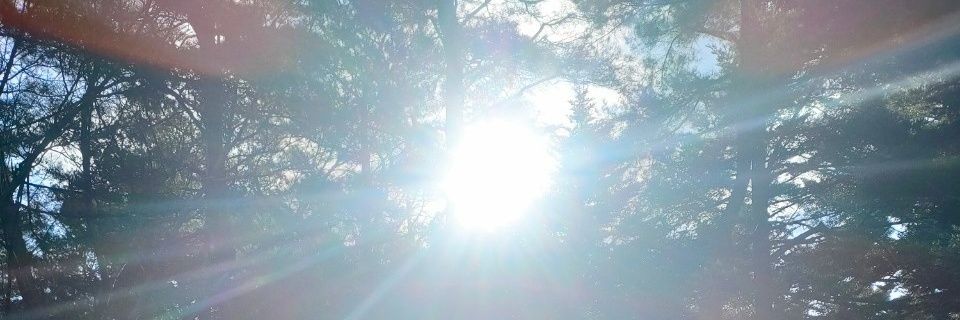 PonT2m's profile banner image