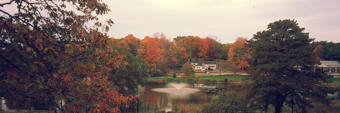 Saraswathi (Saras) Bellur, PhD banner