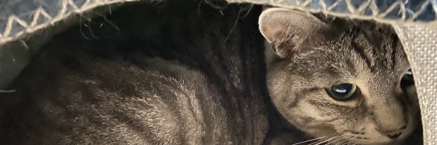 miichibi27's profile banner image