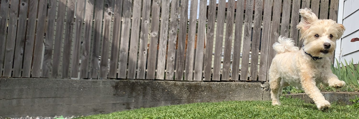 lpcox's profile banner image