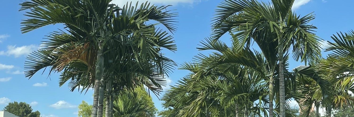 TaylorRenea's profile banner image