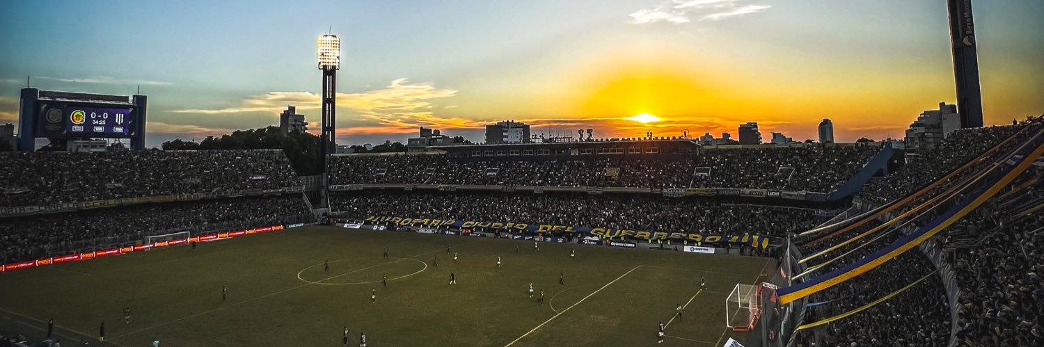 stefano banner