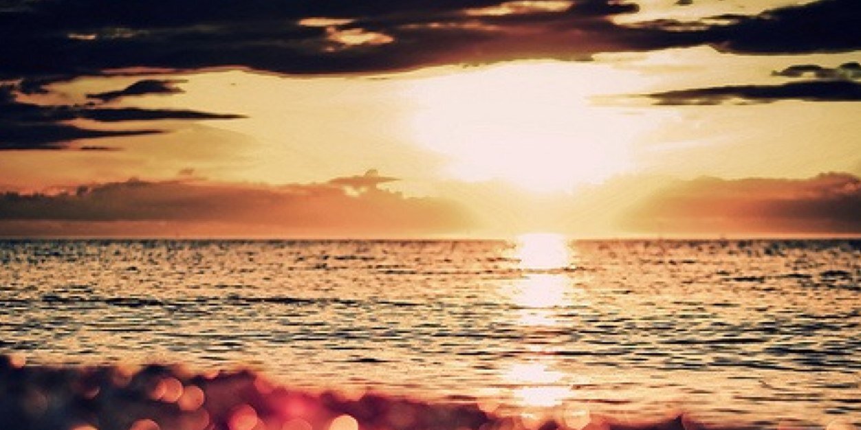 laur_maus's profile banner image