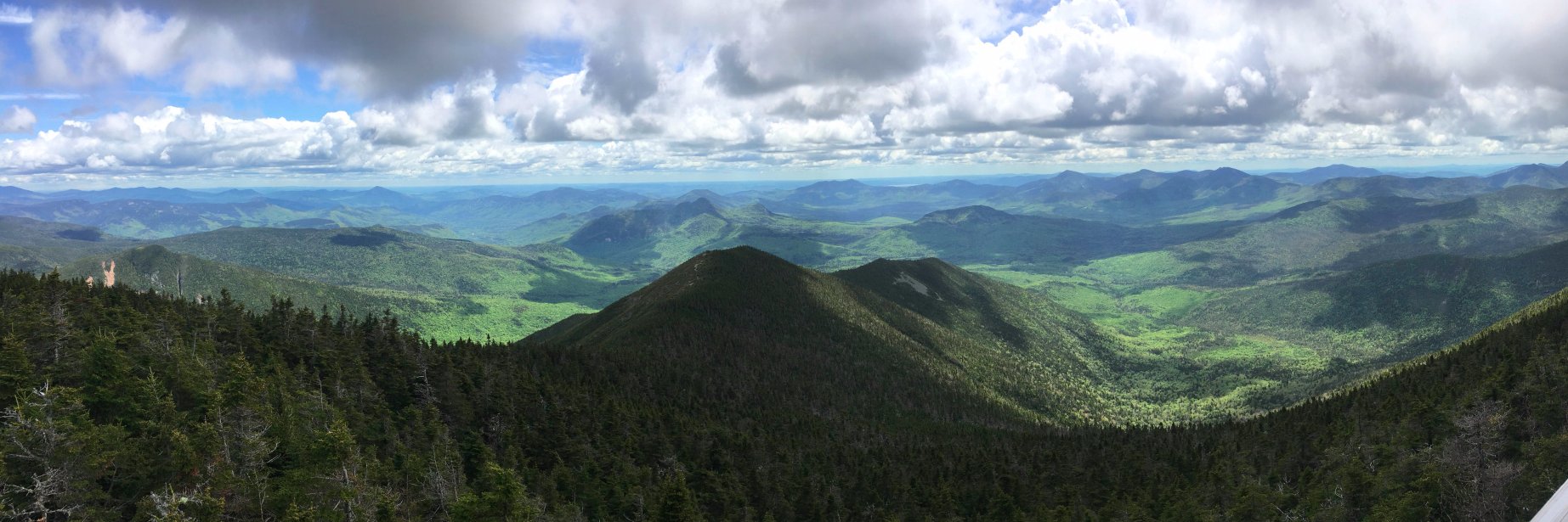 Scout (he/him) banner