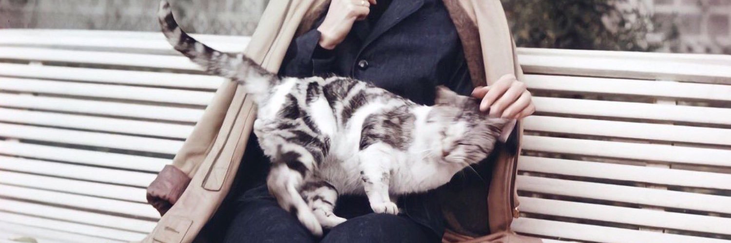 ruminhaha's profile banner image