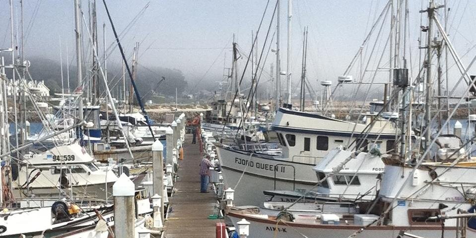 Carol P Cumming banner