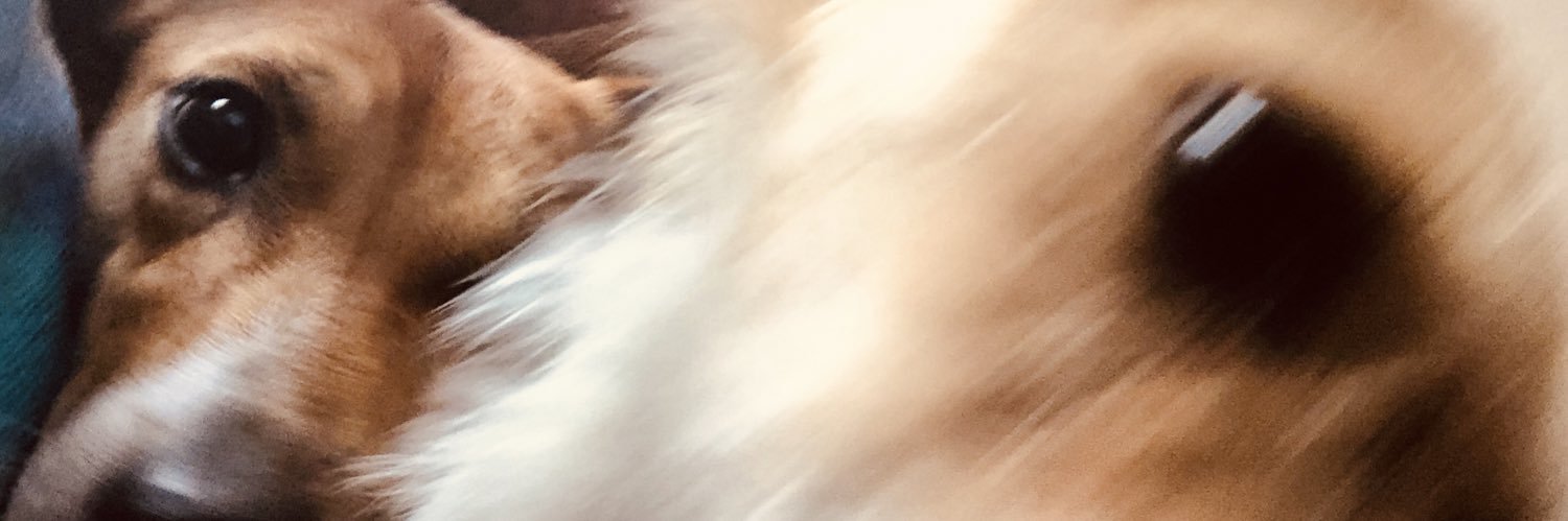mformidable's profile banner image