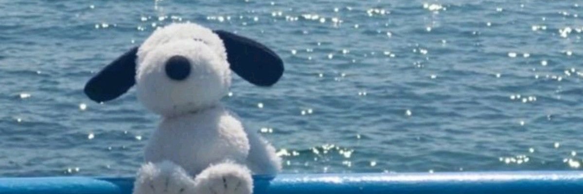 ccatiewon's profile banner image