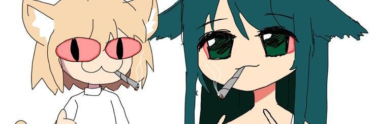 .•°.кошка.•°.•° banner