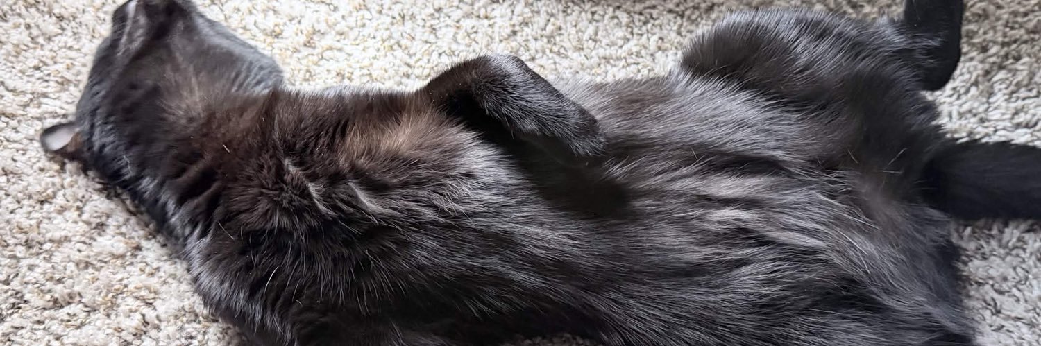 𝒜𝓁𝑒𝓍𝒾𝓈 ᥫ᭡ banner