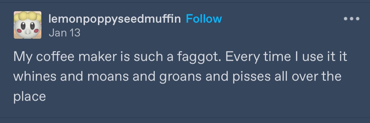 fakebisexual666's profile banner image