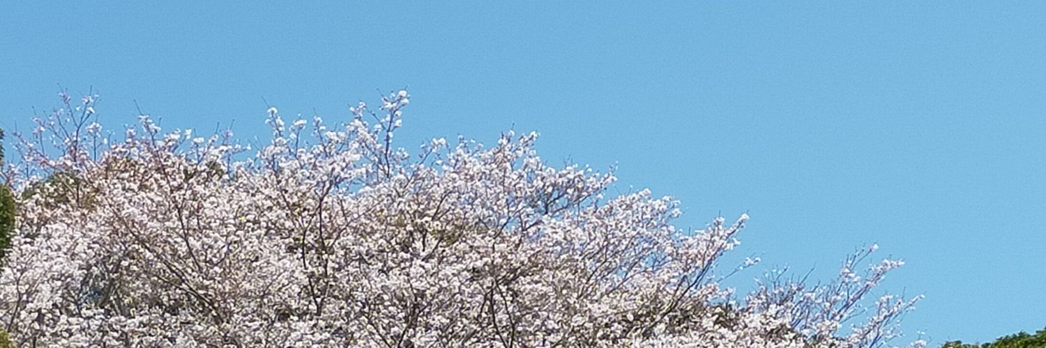 _mari_amnos's profile banner image