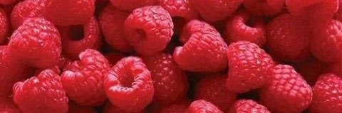 sarna🪝⋆˚࿔ banner