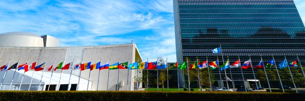 Pamela Falk Correspondent United Nations Profile Banner