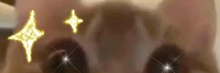 Marude 🌌🥬 banner